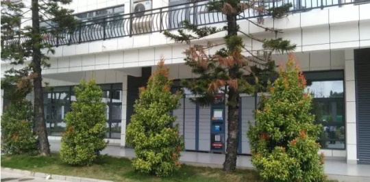 石家莊學機器人技術應用該去哪？