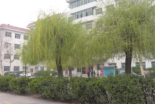 學習高鐵乘務專業怎么樣？   