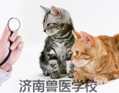 濟南獸醫學校