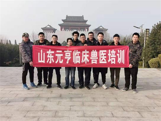 想當獸醫要學什么？   