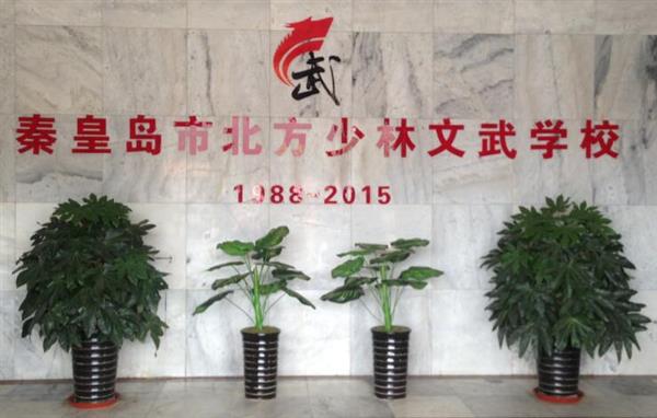 秦皇島北方少林文武學校就業(yè)如何？這答案你放心！
