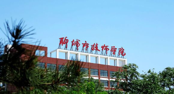 聊城市技師學院有計算機專業(yè)嗎？