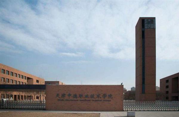 天津中德職業技術學院是一所怎么樣的學校？