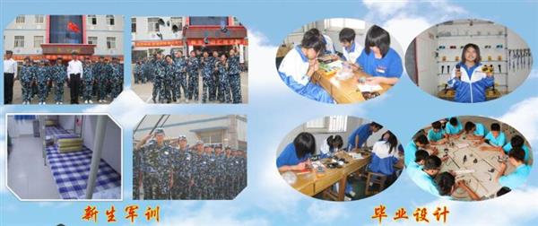 青島海信中心聯校收費標準是什么？