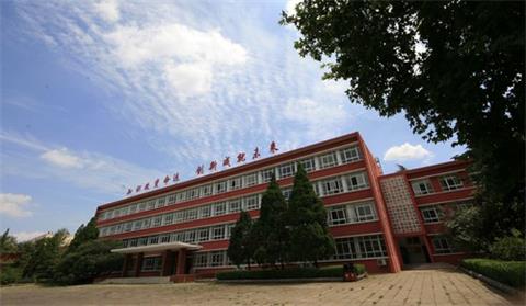 中國洛陽一拖技師學院正規嗎？采用什么教學模式？