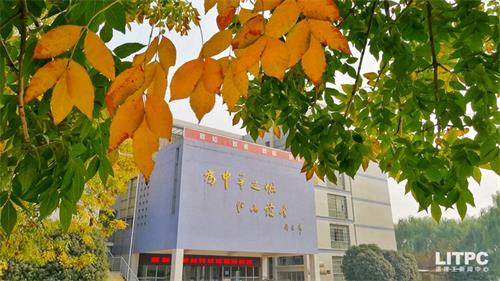洛陽學(xué)電子商務(wù)去哪里？學(xué)電子商務(wù)去洛陽哪所學(xué)校？