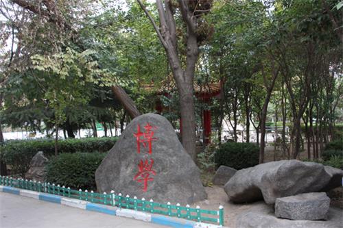  山東人民專修學院怎樣安排學生就業？