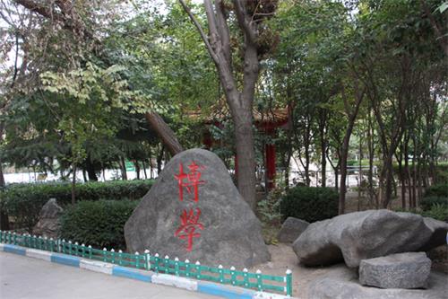 山東人民專修學院值得報名嗎？