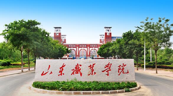 山東職業學院有哪些教學成果？
