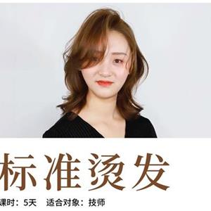 標準燙發 在職助理進修