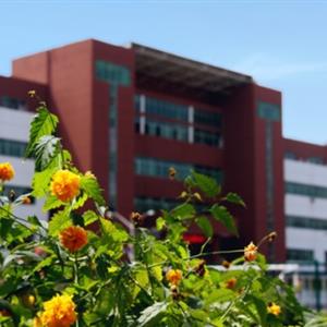 石家莊經濟職業學院