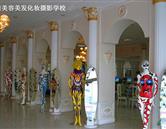 環境展示