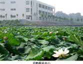鄭州澍青醫學高等專科學校