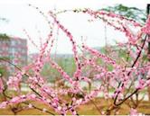 學校環境