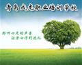 青島成龍職業培訓學校