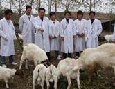 濟南現代畜牧獸醫專修學校